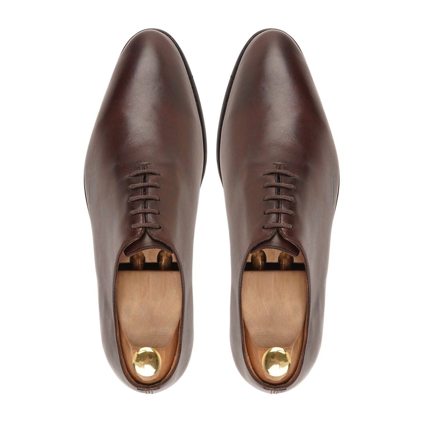 Aristocrat Brown