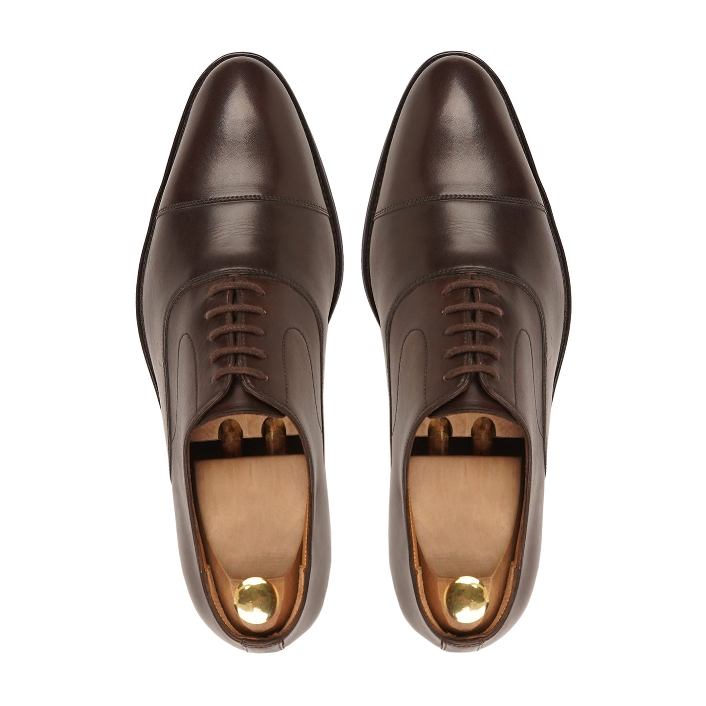 Westminister Brown